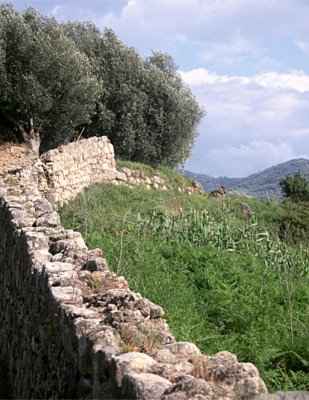 Hier an der oberen Stadtmauer kann man noch Vieles entdecken. Manchmal trifft man auch einen Schäfer, der mit seinen Ziegen die Ausgrabungen besucht.. 